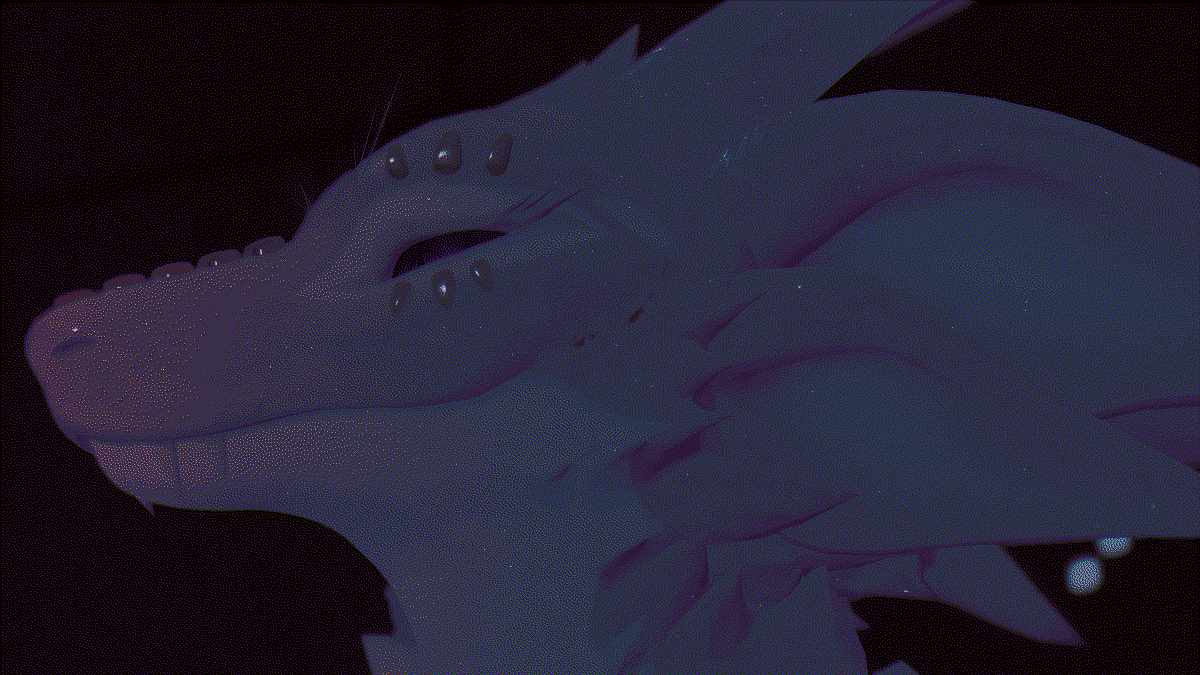 photo of me in my dragon avatar, taken by chilly